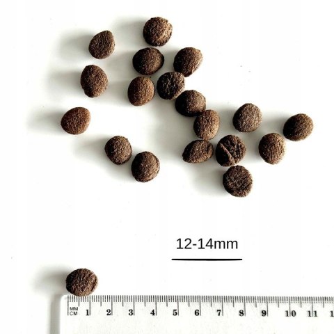 FARMA tłoczona na zimno Łosoś 2KG