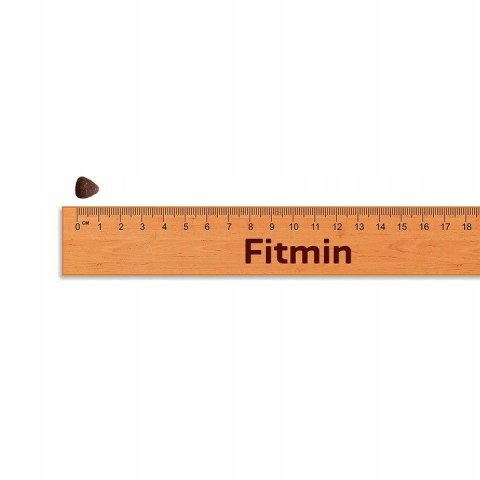 FITMIN PURITY ADULT MINI BEEF 4KG