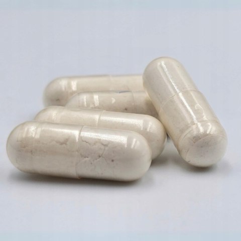 Game Dog Flora Protect 60 kaps probiotyk dla psa