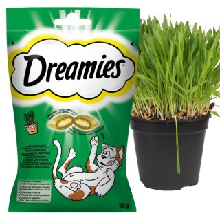 MARS Dreamies Kocimiętka 60g (6)
