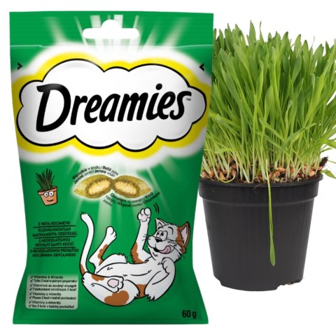 MARS Dreamies Kocimiętka 60g (6)