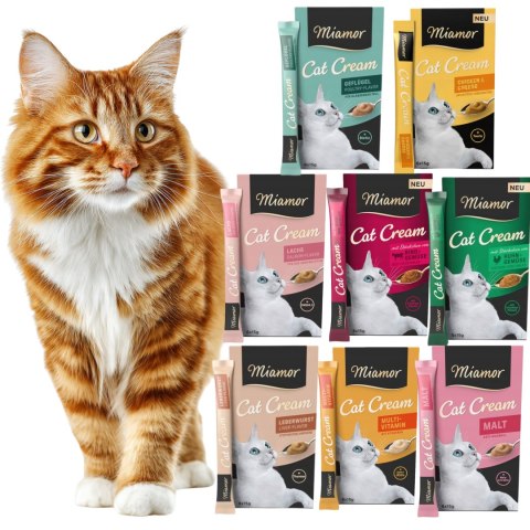 MEGA ZESTAW Miamor Cat Snack Creams MIX 48x15g pasta przysmak dla kota