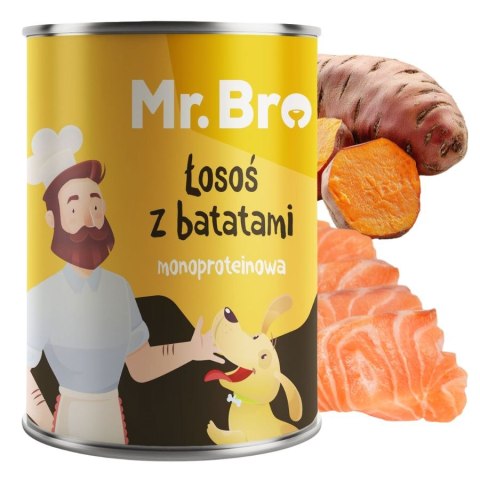 Mr. Bro Łosoś z Batatami 800g - Monoproteinowa karma dla alergika