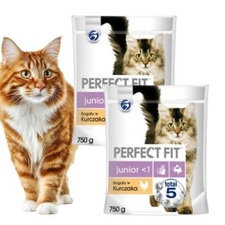 PAKIET DLA KOCIAKA PERFECT FIT (Junior