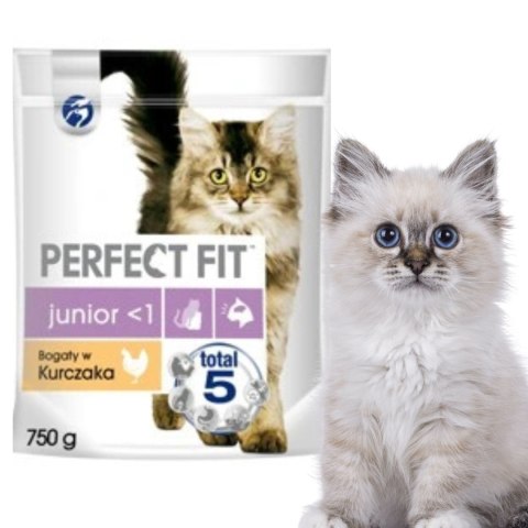 PAKIET DLA KOCIAKA PERFECT FIT (Junior