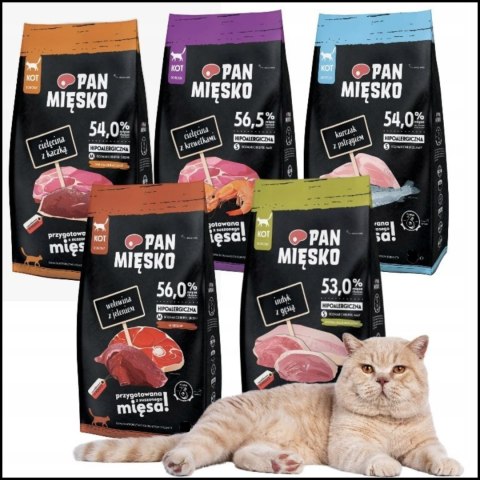 PAN MIĘSKO PAKIET PRÓBNY 5X400G SUCHA KARMA DLA KOTA Z KREWETKĄ MIX SMAKÓW