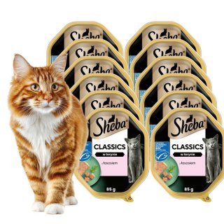 SHEBA Classics Łosoś w Pasztecie 8+4 85 g (12 szt)