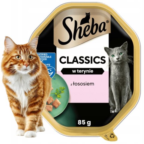 SHEBA Classics Łosoś w Pasztecie 8+4 85 g (12 szt)