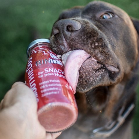 SmoothieDog WOŁOWINA 240ml Trinkpause przekąska