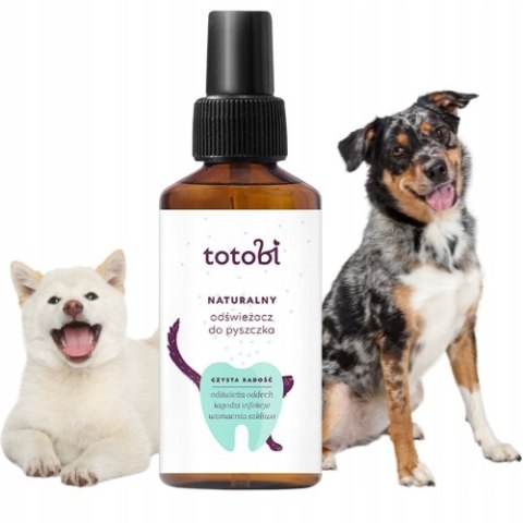 Totobi Naturalny Odświeżacz do Pyszczka 100ml