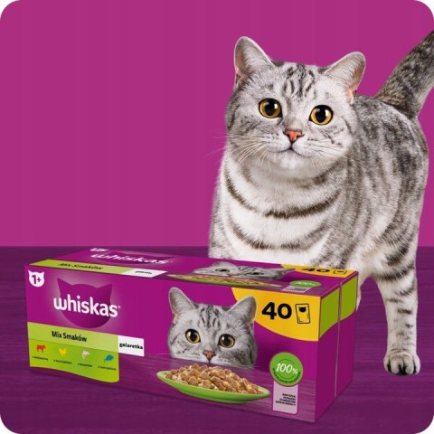 WHISKAS MIX SMAKÓW mokra karma dla kota mix smaków w galaretce saszetki 40x85 g 2 BOXY