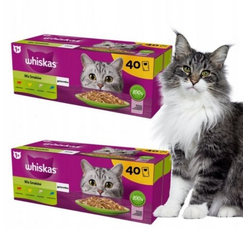WHISKAS MIX SMAKÓW mokra karma dla kota mix smaków w galaretce saszetki 40x85 g 2 BOXY