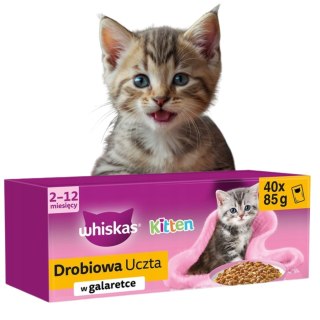 Whiskas Junior saszetki dla kociąt 40x85g drób w galaretce