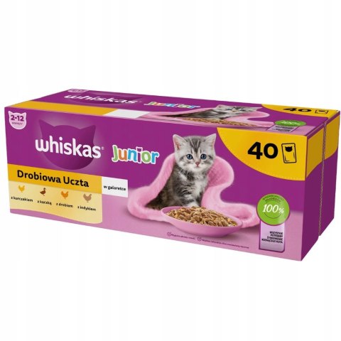 Whiskas Junior saszetki dla kociąt 40x85g drób w galaretce