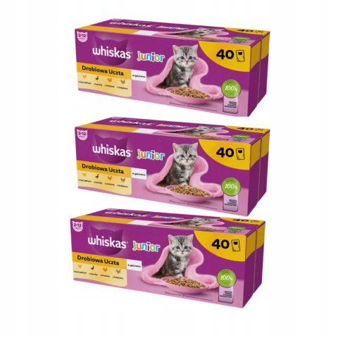 Whiskas Kitten Drobiowa Uczta w Galaretce 120x85g dla Kociąt