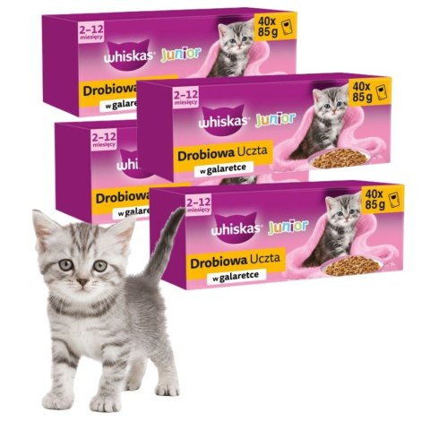 Whiskas Kitten Drobiowa Uczta w Galaretce 160x85g dla Kociąt