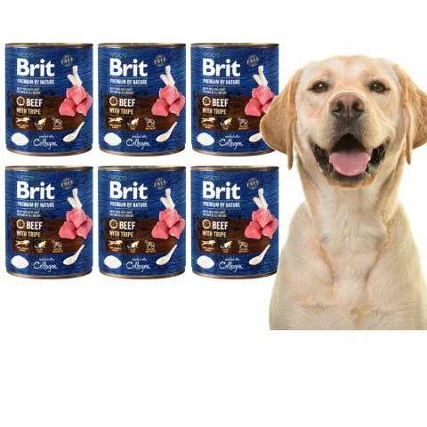 ZESTAW BRIT PREMIUM BY NATURE 6X800G BEEF&TRIPLES