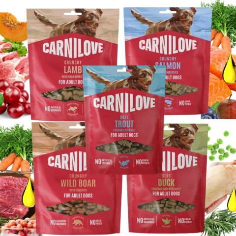 ZESTAW CARNILOVE 5X200 Najlepsze Przysmaki dla psa