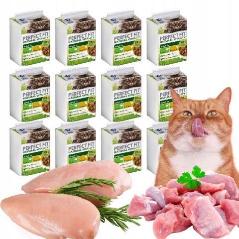 ZESTAW Perfect Fit Natural Vitality z indykiem i kurczakiem dla kota 72x50g