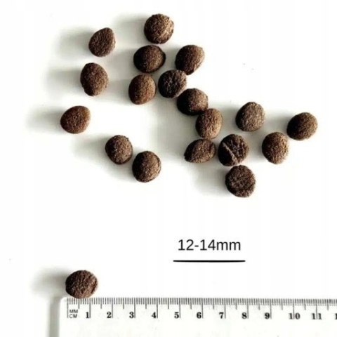 Zestas 2x2kg Farma Tłoczona na zimno Jagnięcina 2kg