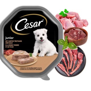 Cesar Junior Pasztet z cielęciną i indykiem dla psa 150 g