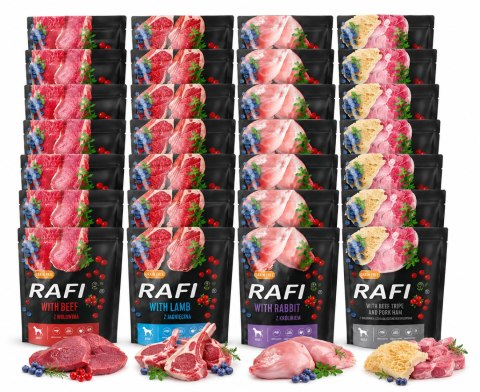 DOLINA NOTECI RAFI SASZETKI PREMIUM MIX 20x500g