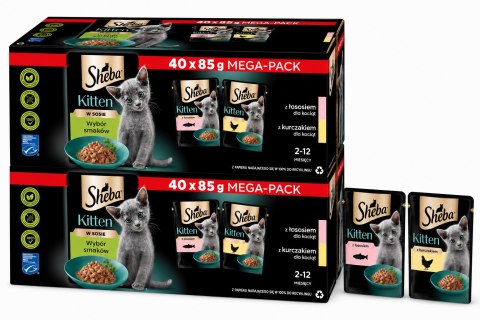 SHEBA Kitten wybór smaków mokra karma dla kociąt w sosie 80x85 g