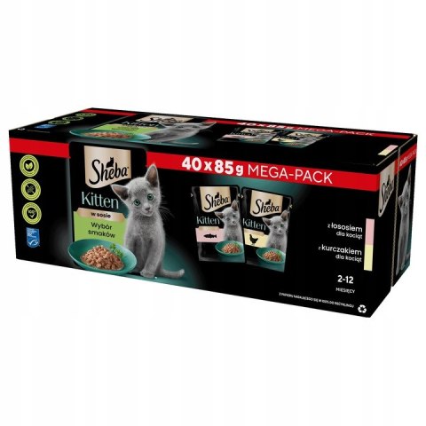 SHEBA Kitten wybór smaków mokra karma dla kociąt w sosie 80x85 g