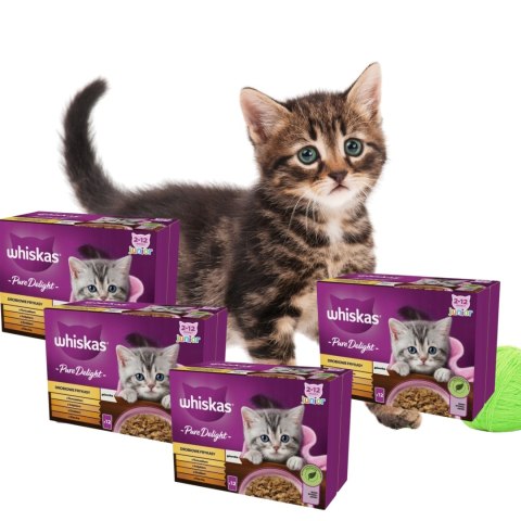 Whiskas Saszetka Drobiowe Frtkasy JUNIOR 48x85g kociak box