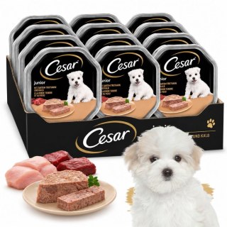 ZESTAW Cesar Junior Pasztet z cielęciną i indykiem dla psa 12X150 g