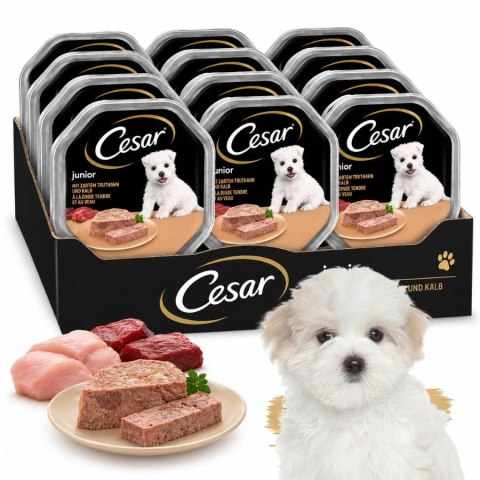 ZESTAW Cesar Junior Pasztet z cielęciną i indykiem dla psa 12X150 g