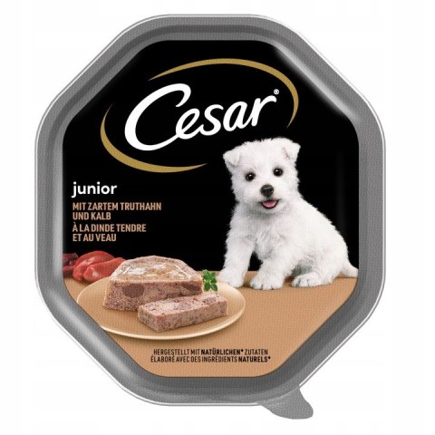ZESTAW Cesar Junior Pasztet z cielęciną i indykiem dla psa 12X150 g