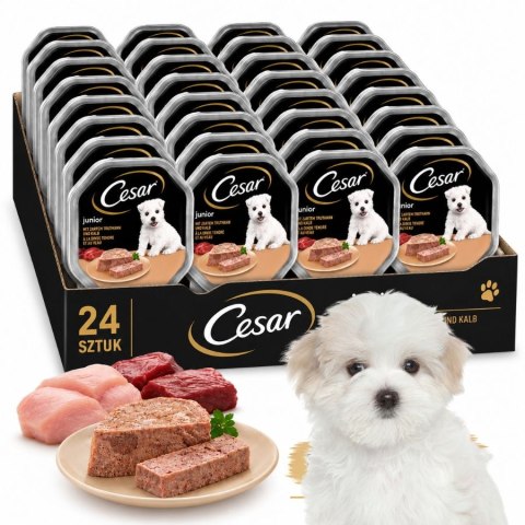 ZESTAW Cesar Junior Pasztet z cielęciną i indykiem dla psa 24X150 g