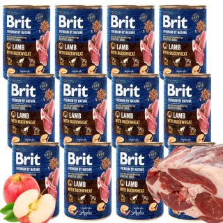 BRIT PREMIUM BY NATURE 12x400G LAMB&BUCKWHEAT