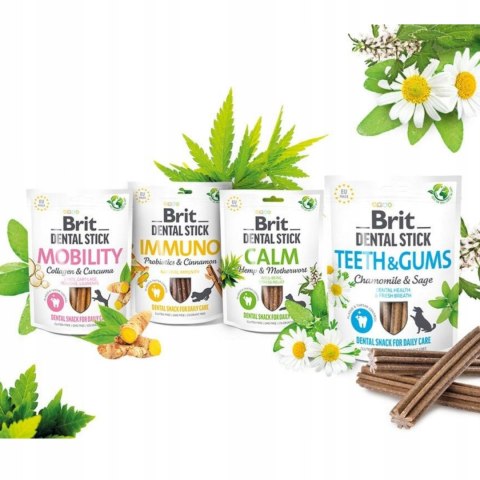 Brit Dental Stick 4 X 251G NAJLEPSZE Smaki
