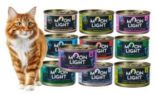 Wszystkie smaki Moonlight mix smaków dla kota dorosłego puszki 10 sztuk