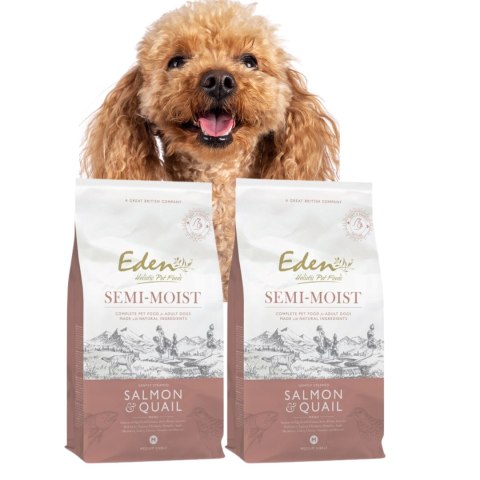 ZESTAW 2 X 2KG Eden SEMI-MOST SALMON&QUAIL półwilgotna karma Łosoś
