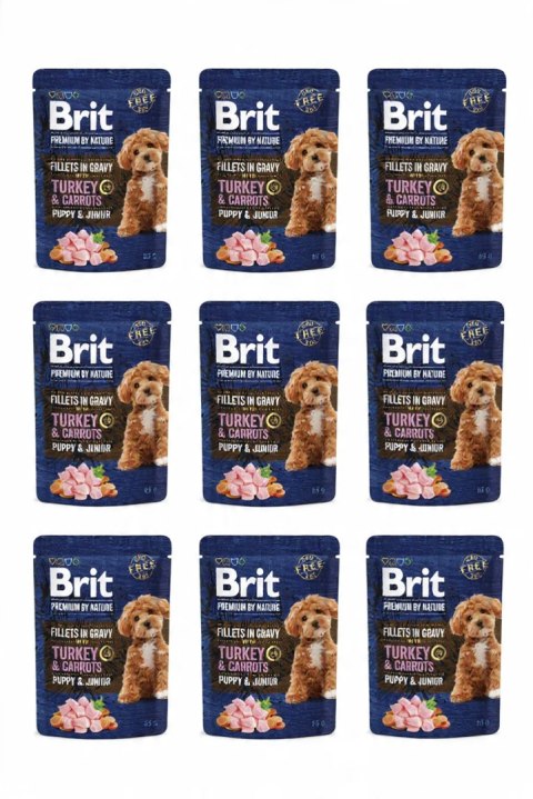 ZESTAW BRIT PREMIUM BY NATURE POUCH GRAVY FILLETS JR TURKEY&CARROTS 9X85