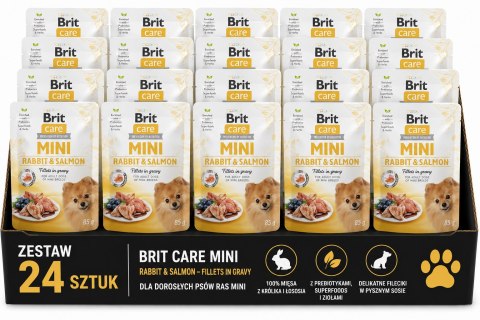 ZESTAW Brit Care Mini Pouch Rabbit & Salmon 24X85g