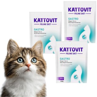 ZESTAW Kattovit Gastro sucha karma układ pokarmowy 3 X 1250g