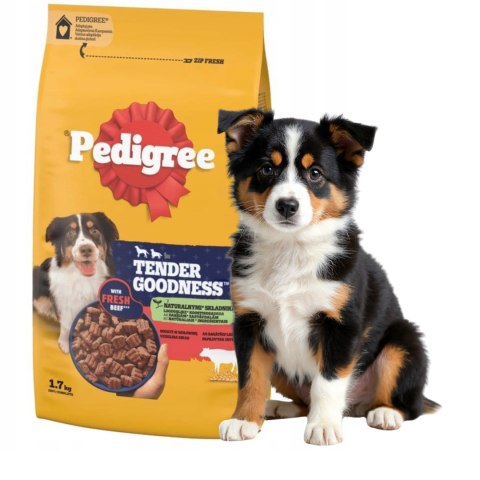 ZESTAW PEDIGREE TENDER GOODNESS 2X1,7kg 100% mięsistych kawałków
