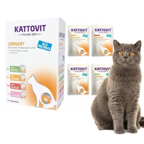 Zestaw KATTOVIT MULTIPAK PAKIET MIESZANY URINARY 48x85g