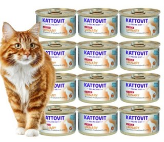 Zestaw KATTOVIT URINARY układ moczowy drogi moczowe CIELĘCINA 12x85g