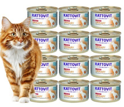Zestaw KATTOVIT URINARY układ moczowy drogi moczowe CIELĘCINA 12x85g