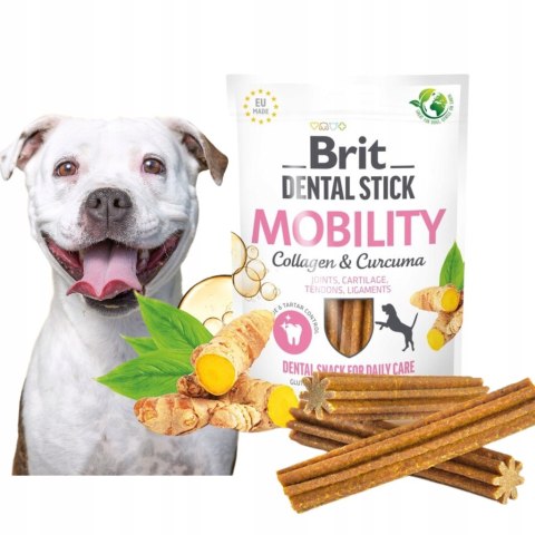 BRIT DENTAL MOBILITY WITH CURCUMA & COLLAGEN