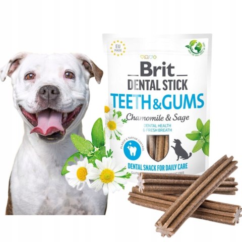 BRIT DENTAL TEETH & GUMS WITH CHAMOMILE &