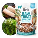 BRIT RAW TREAT SKIN & COAT FREEZE-DRIED przysm