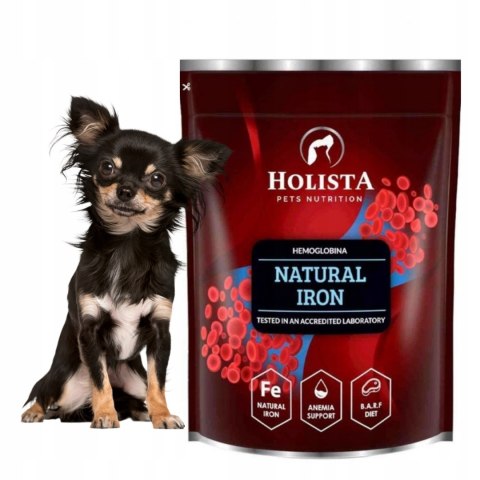 HolistaPets HEMOGLOBIN NATURAL IRON 600 g