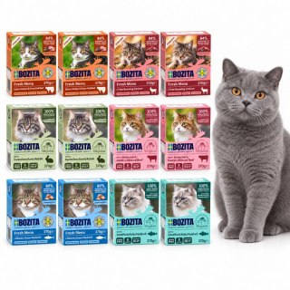 BOZITA MIX 12x370g Karma Mokra dla Kota Kawałki w Galarecie 6 Smaków 4,44kg