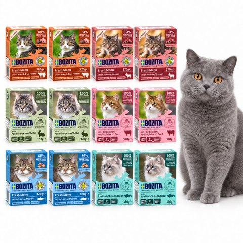 BOZITA MIX 12x370g Karma Mokra dla Kota Kawałki w Galarecie 6 Smaków 4,44kg